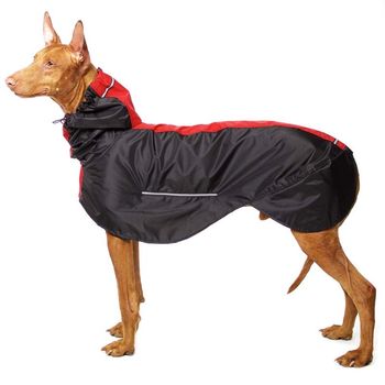 Hovedbilde Manuel Raincoat