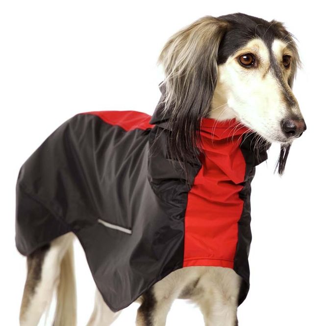 Hovedbilde Manuel Raincoat S2