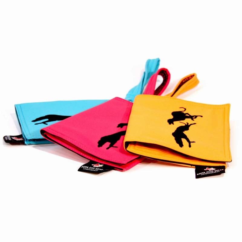 Pass & Dokument mappe A6